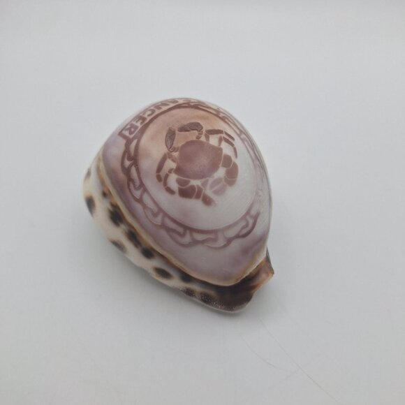Zodiak Tiger Cowry Seashell Scrimshaw Carved Cancer Crab Cypraea Vintage Beach - Picture 3 of 5